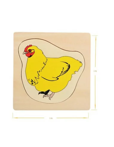 Cykl życia kurczaka