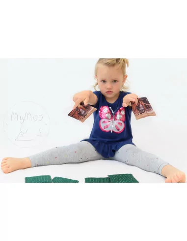 Memory poduszeczki -Zwierzęta