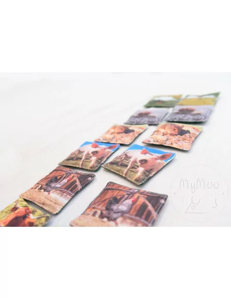 Memory poduszeczki -Zwierzęta