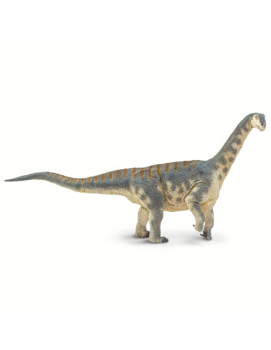 Camarasaurus