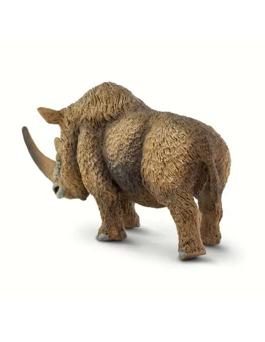 Nosorożec włochaty