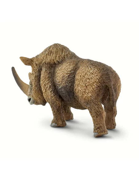 Nosorożec włochaty