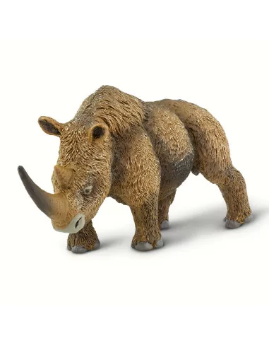 Nosorożec włochaty