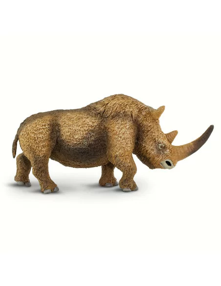 Nosorożec włochaty