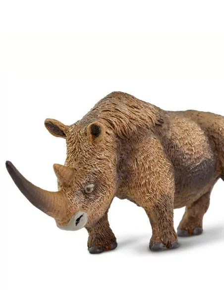 Nosorożec włochaty