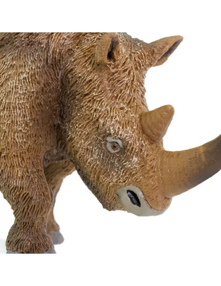 Nosorożec włochaty