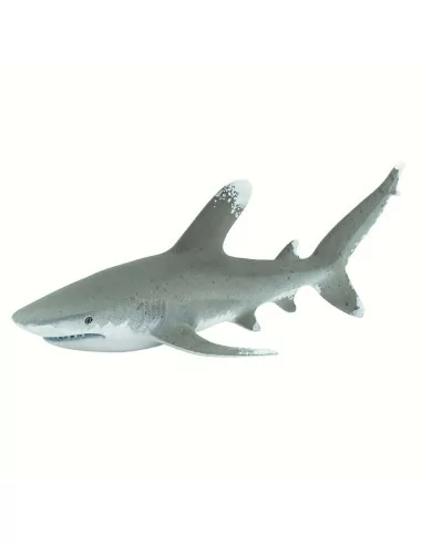 Żarłacz białopłetwy