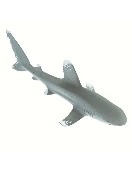 Żarłacz białopłetwy