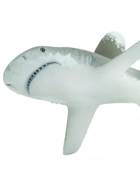 Żarłacz białopłetwy