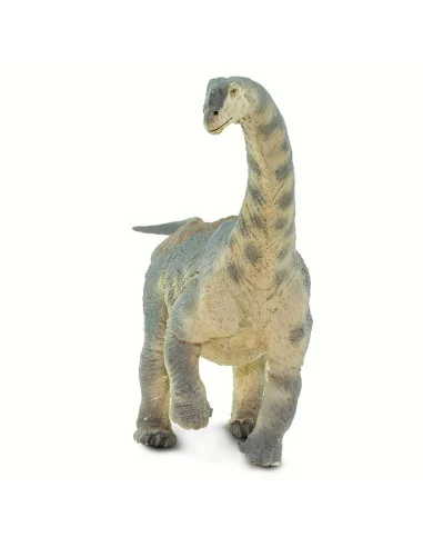 Camarasaurus
