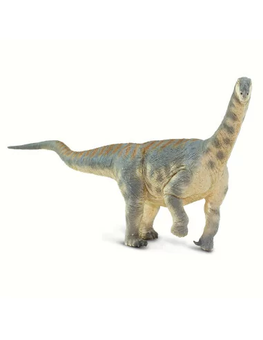 Camarasaurus