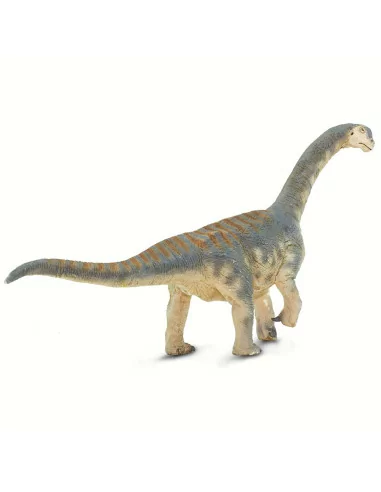 Camarasaurus