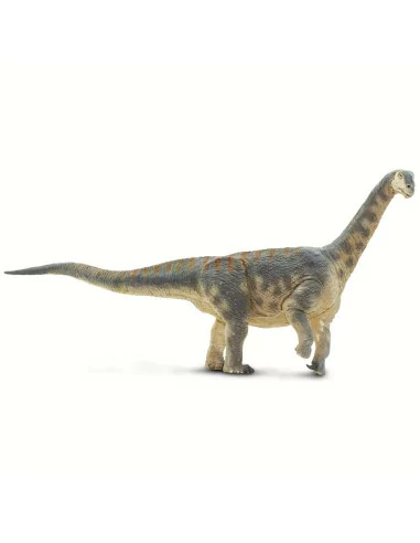 Camarasaurus