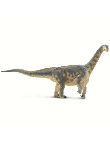 Camarasaurus