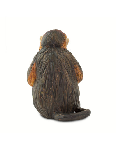 Langur