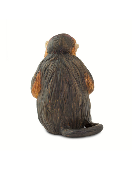 Langur