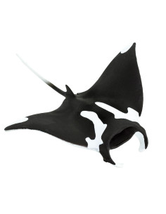 Manta