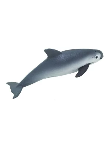 Morświn kalifornijski