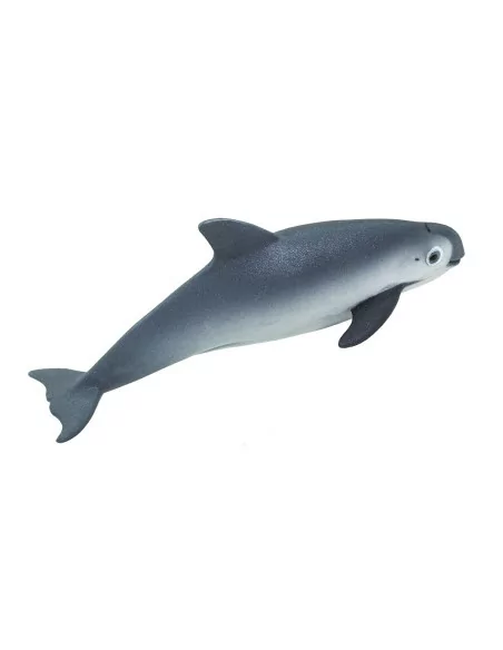 Morświn kalifornijski