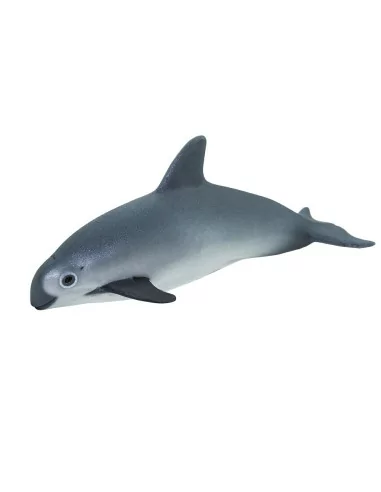 Morświn kalifornijski