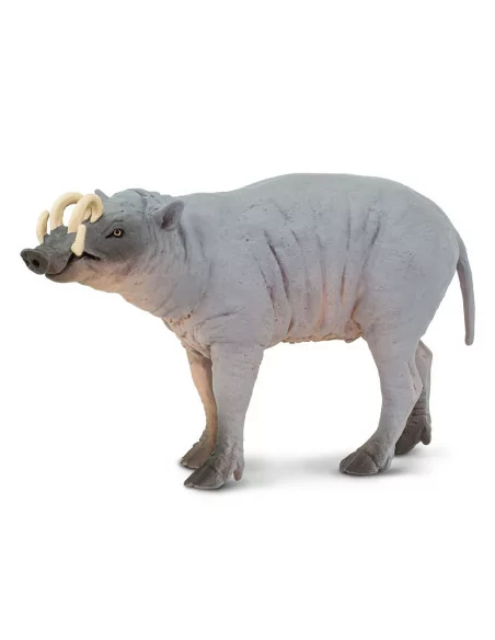 Babirussa