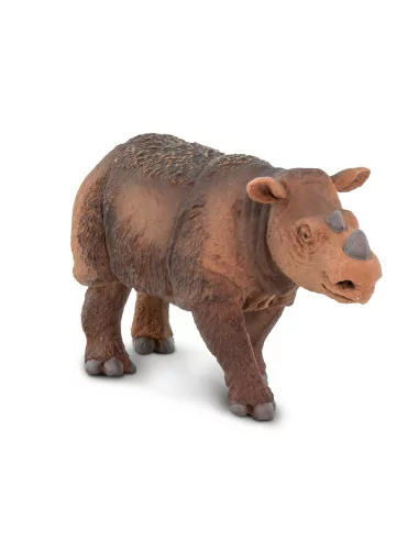 Nosorożec sumatrzański