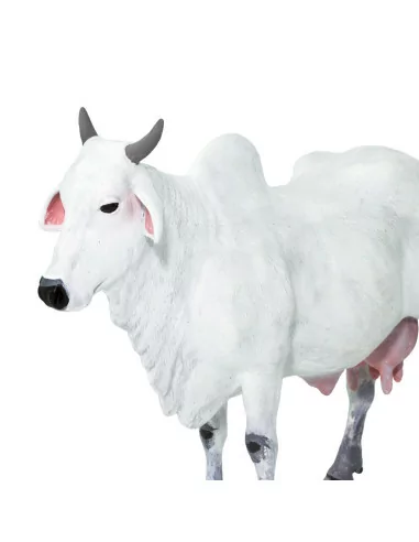 Bydło węgierskie szare