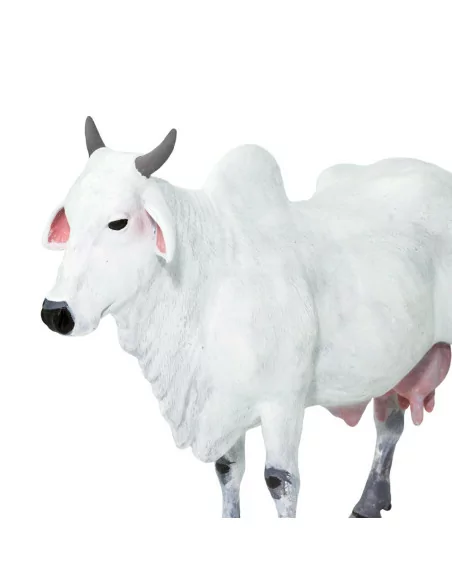 Bydło węgierskie szare