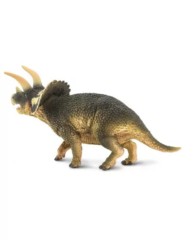 Triceratops