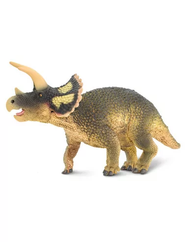 Triceratops