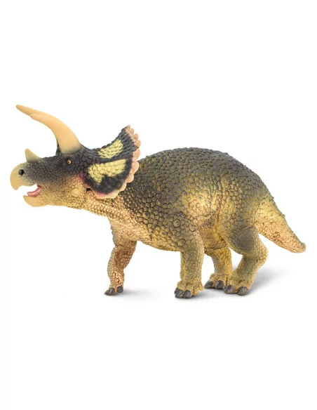 Triceratops