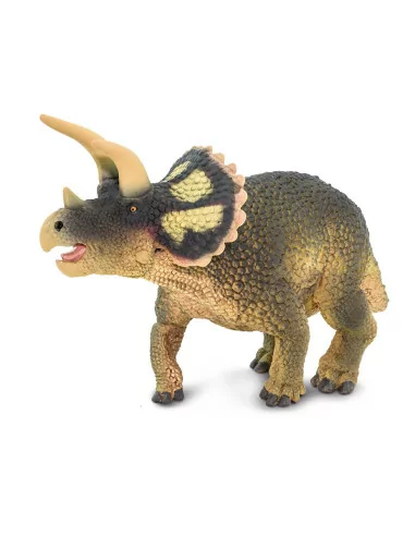 Triceratops