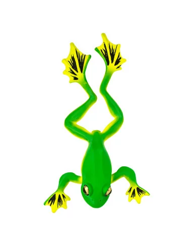 Nogolotka czarnostopa