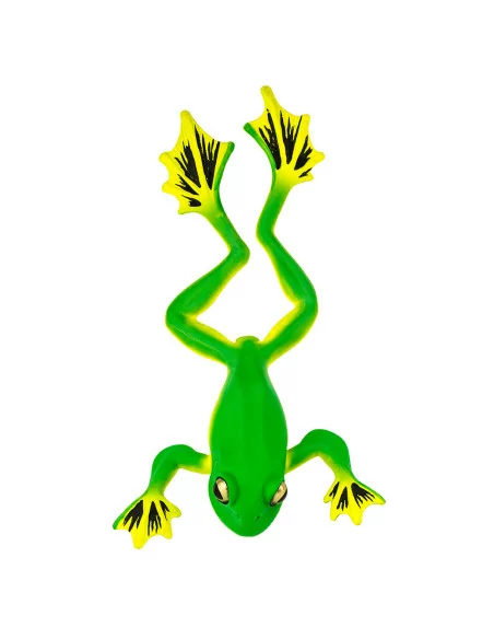 Nogolotka czarnostopa