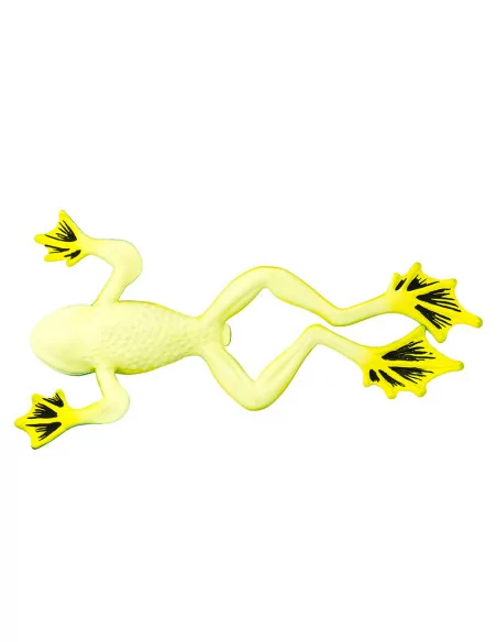 Nogolotka czarnostopa