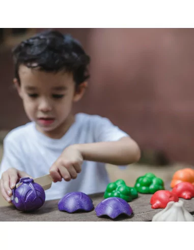 Zestaw warzyw w 5 kolorach