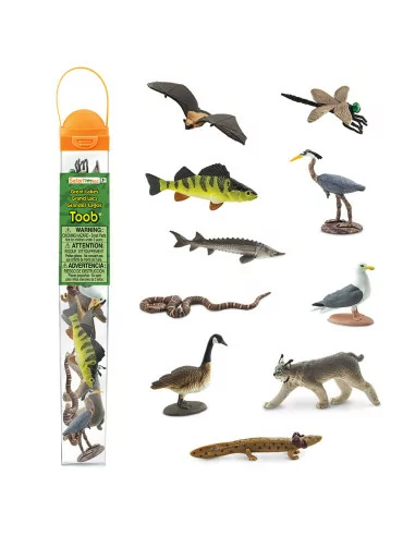 Tuba - Wielkie jeziora