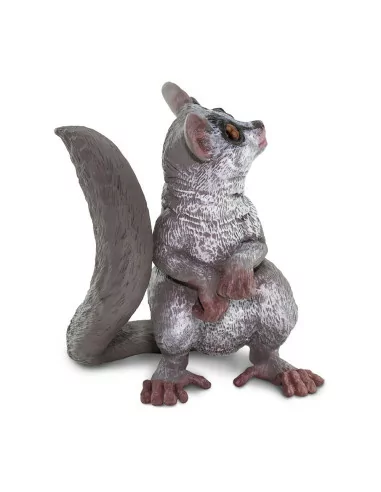 Młody Galago senegalski