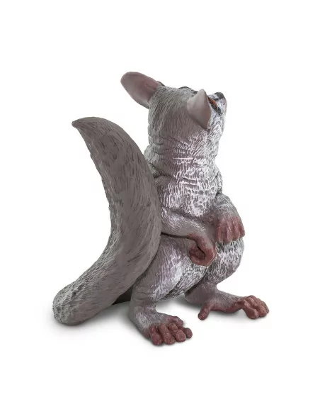 Młody Galago senegalski