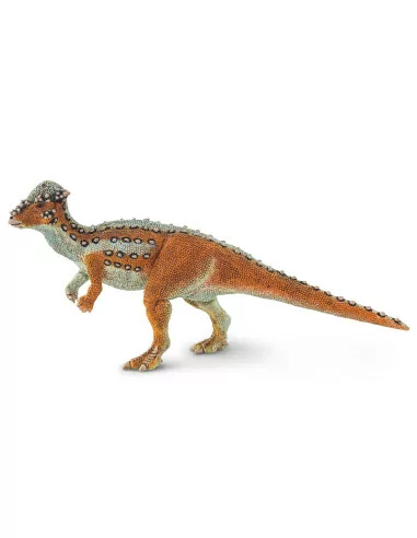 Pachycephalosaurus