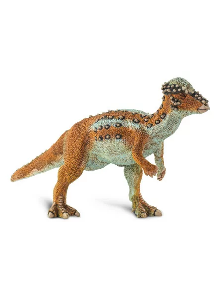 Pachycephalosaurus