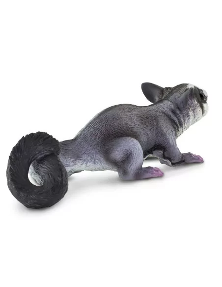 Lotopałanka karłowata