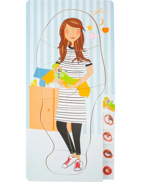 Puzzle warstwowe – rozwój płodu