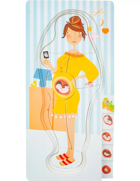 Puzzle warstwowe – rozwój płodu