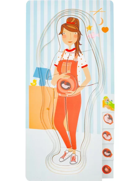 Puzzle warstwowe – rozwój płodu