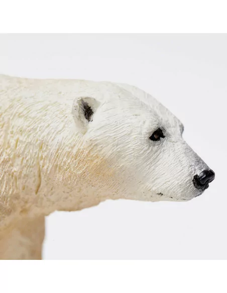 Niedźwiedź polarny