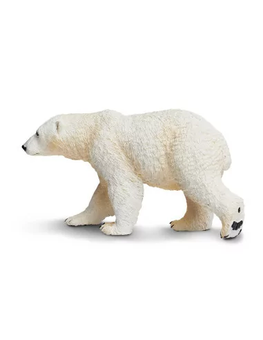 Niedźwiedź polarny