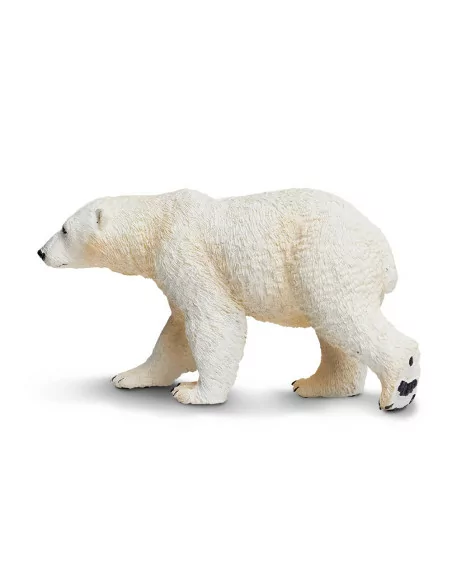 Niedźwiedź polarny