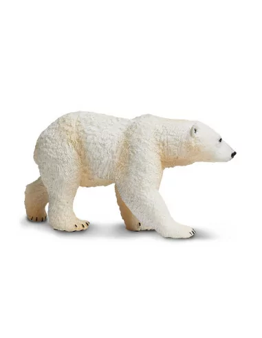 Niedźwiedź polarny