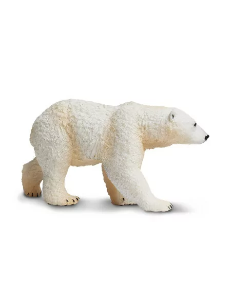 Niedźwiedź polarny